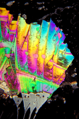 Crystal Photomicrograph