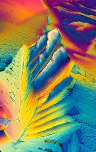 Crystal Photomicrograph