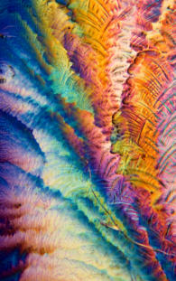 Crystal Photomicrograph